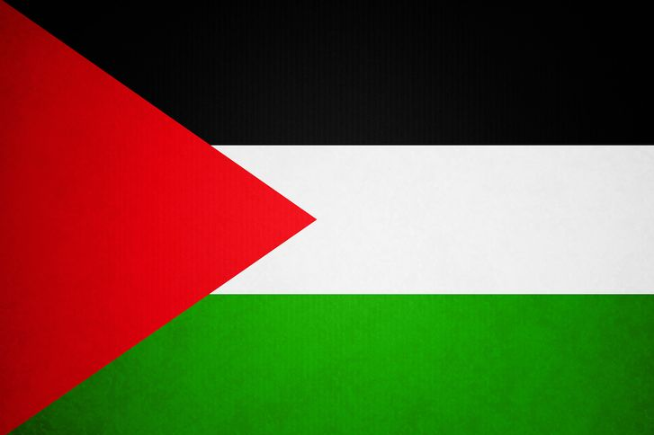 الوسيط فلسطين